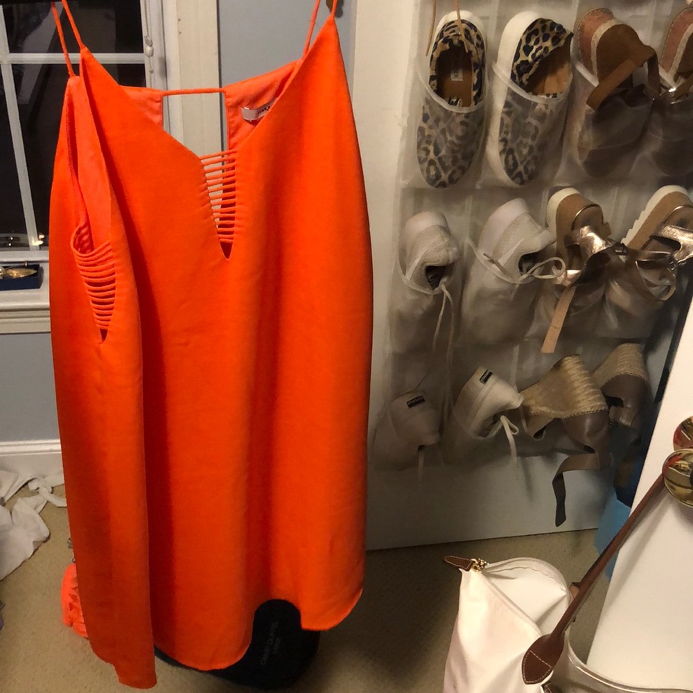 Orange shift dress naked zebra